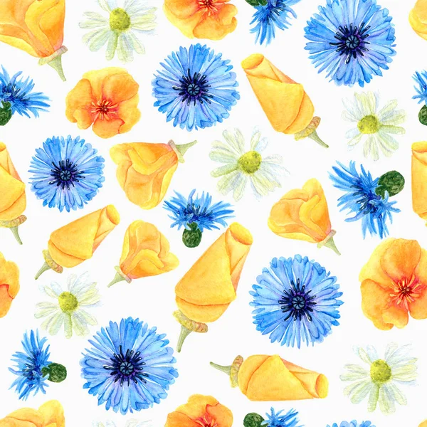 Textura sem costura de aquarela flores do prado de verão. Impressão floral brilhante com elementos naturais — Fotografia de Stock
