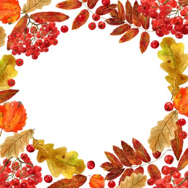 Suluboya sonbahar çerçevesi. Meşe, aspen, rowan ve çilek sonbahar yaprakları ile Arka plan ve metin için yer