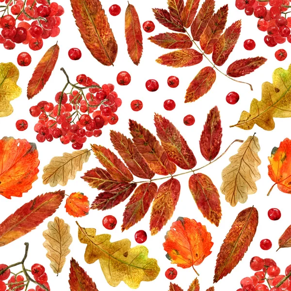 Folytonos textúra akvarell alá tölgy, nyár, Rowan levelek és bogyók. Fényes őszi nyomtatvány természetes elemekkel — Stock Fotó
