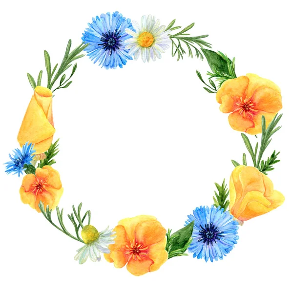 Corona de acuarela de flores y hierbas del prado de verano. Composición floral de amapolas, acianos y manzanillas — Foto de Stock