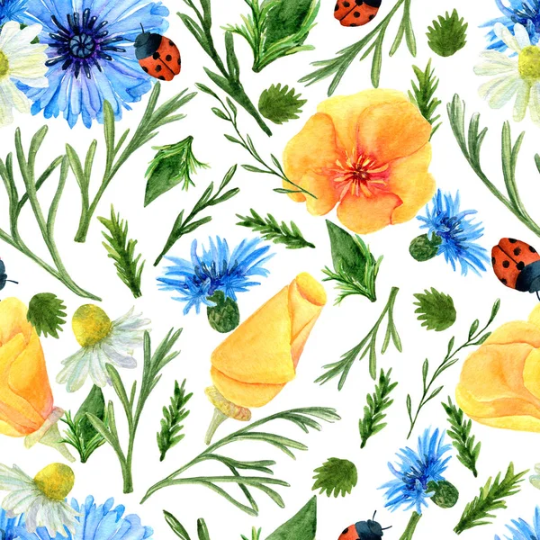 Textura perfecta de acuarela flores del prado de verano, mariquitas y hierbas. Estampado floral brillante con elementos naturales — Foto de Stock