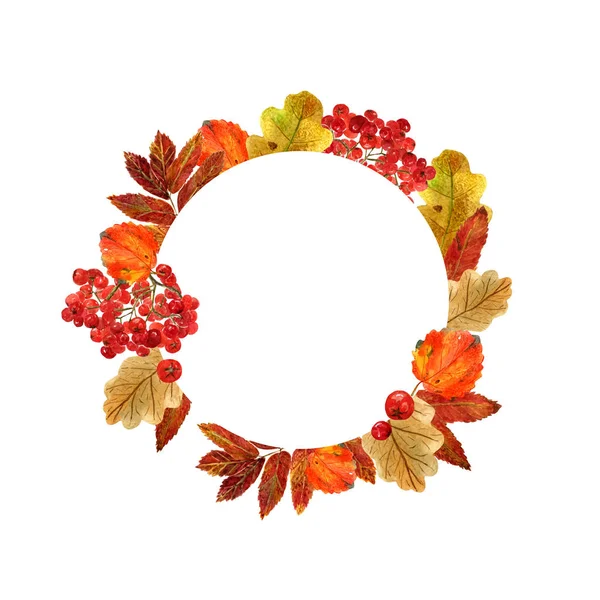 Watercolor round frame with autumn leaves and berries. Background with fall foliage, rowanberries and  place for tex — Stock Photo, Image