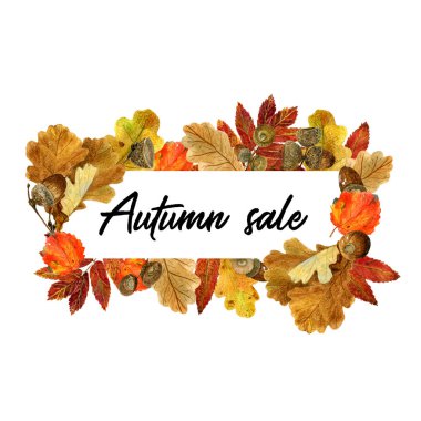 Sonbahar yaprakları ve çilek ile suluboya dikdörtgen çerçeve. Sonbahar yaprakları, meşe palamudu ve metin ile arka plan