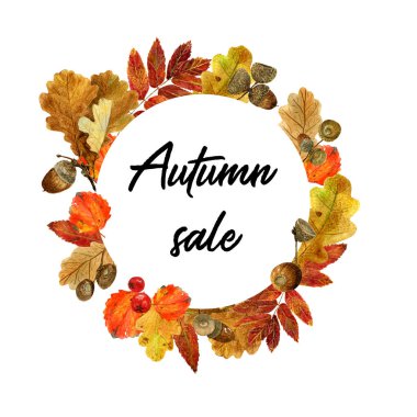 Sonbahar yaprakları ve çilek ile suluboya yuvarlak çerçeve. Sonbahar yaprakları, rowanberries ve metin ile arka plan