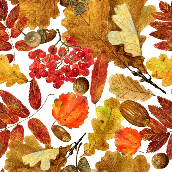 Бесшовная текстура акварельного дуба, рябиновых листьев и желудей — Бесплатное стоковое фото