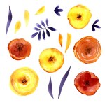 Set van aquarel bloemen en bladeren. Verzameling van natuurlijke hand