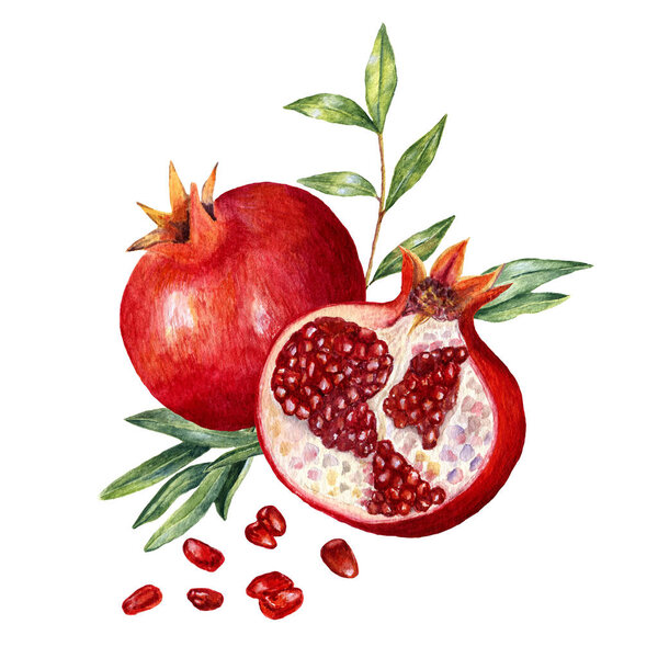 Состав с гранатом акварелью, ломтиком, семенами и зеленью. Паштет с фруктами. Дизайн продуктов питания для упаковки или приглашения. Печать с натуральными органическими элементами
