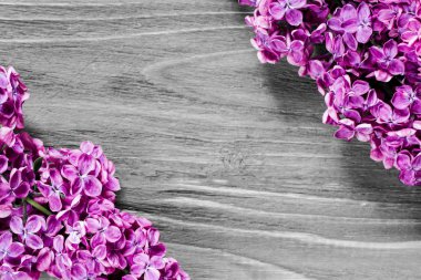 Soldaki aşağı ve sağ yukarı köşe gri ahşap yüzeyde leylak çiçeği.