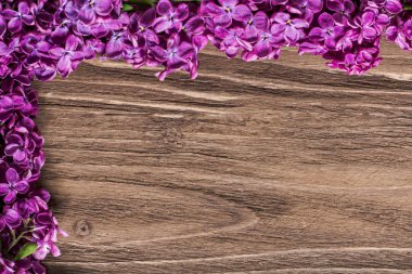 Eflatun çiçekler ahşap yüzeyde yalan. Lila çiçek üst kompozisyon yaptı.