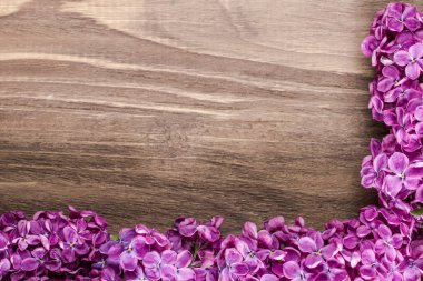 Eflatun çiçekler ahşap yüzeyde yalan. Eflatun çiçekler sağ alt köşe kompozisyon.