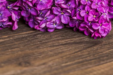 Eflatun çiçekler kahverengi ahşap masa üstüne yakın çekim