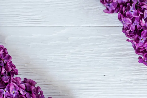 Ramas lila en las esquinas de la superficie de madera blanca. Contraste imagen de estudio — Foto de Stock