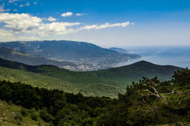 Hava panoramik vadi yeşil ağaçlar, deniz ve dağlar. Güzellikler havadan yeşil ağaçların