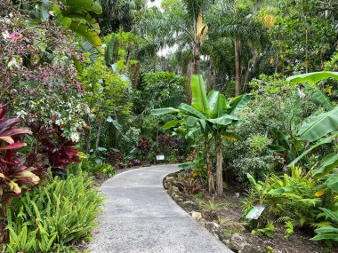 Florida 'da bir botanik bahçesinin kaldırımında..