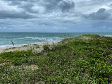Kuzey Hutchinson Adası Florida kıyılarında güzel bulutlu bir günde sahile ve okyanusa bakan deniz yulafları.