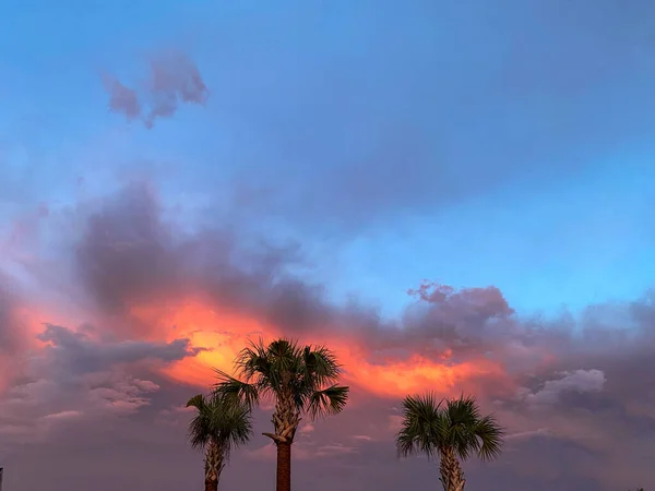 Belo Pôr Sol Rosa Laranja Azul Com Palmeiras Bairro Suburbano — Fotografia de Stock