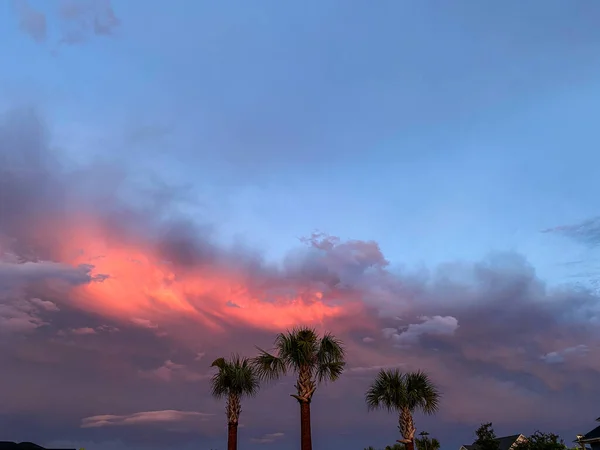 Belo Pôr Sol Rosa Laranja Azul Com Palmeiras Bairro Suburbano — Fotografia de Stock