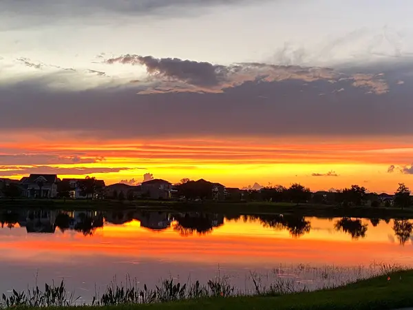 Beautiful Pink Orange Blue Sunset Reflecting Lake Suburban Neighborhood — Stock Photo, Image