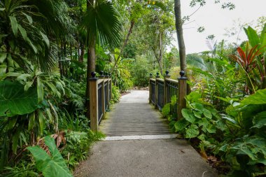 Florida 'da bir botanik bahçesinin kaldırımında..