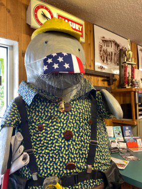 FT Pierce, FL / USA - 6 / 4 / 20: İnşaat işçisi gibi giyinmiş bir Manatee heykeli ve FT, FL 'deki bir Ace Hardware mağazasında koronavirüs onuruna maske takıyor.