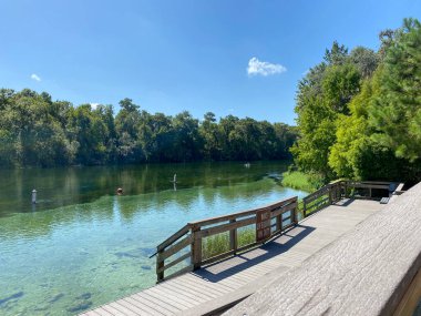 Dunnellon, Florida 'daki Gökkuşağı Nehri' nin berrak suyu..