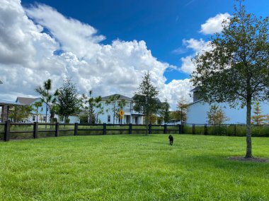 Orlando, FL / USA - 9 / 8 / 20: Orlando, Florida 'daki Nona Gölü' ndeki Laureate Park 'ın varoşlarında bir köpek parkı.