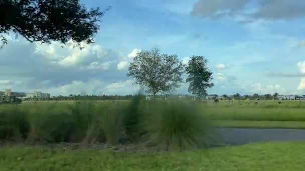 移動中の車から牛の群れを持つフィールドのビュー — ストック動画