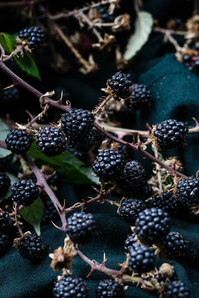 Doğal böğürtlenler kumaşa yakın çekim yapar.