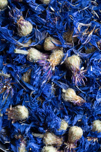 Mavi ve beyaz doğal çiçek yakın plan