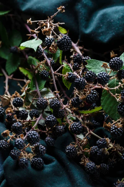 Blackberrys Naturais Close Tecido — Fotografia de Stock