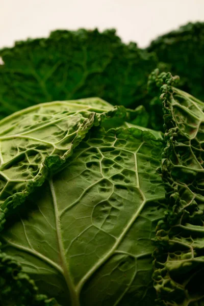 Doğal lahana dokusu, toprak.