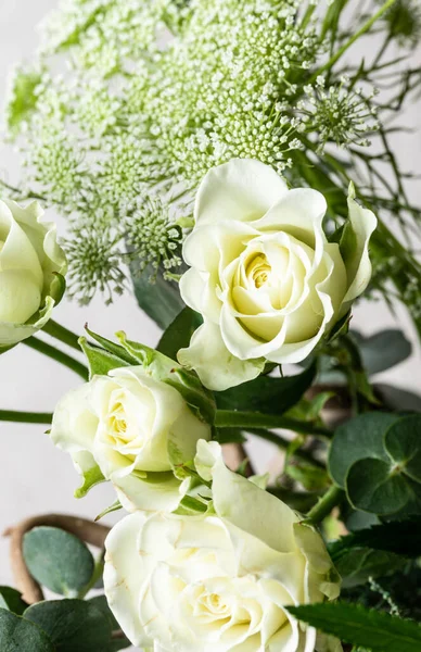 Beyaz arkaplanda beyaz güller