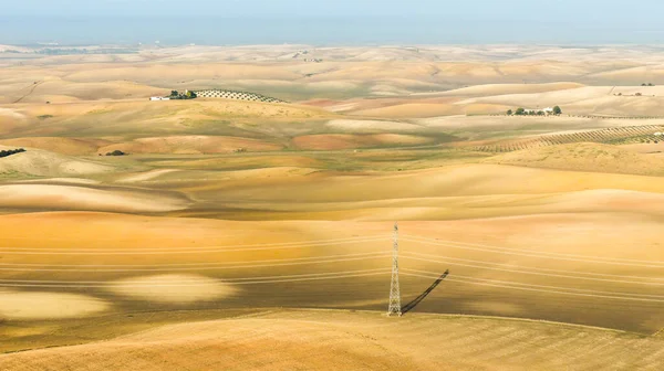 Elektrik kablolarıyla kaplı bir tarlanın üzerinde gün batımı