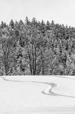 Kışın dikey dağ manzarası