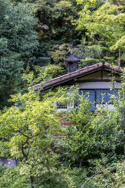 Japonya 'da ağaçların arasında ev var.
