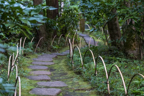 Sentiero Giardino Con Pietre — Foto Stock