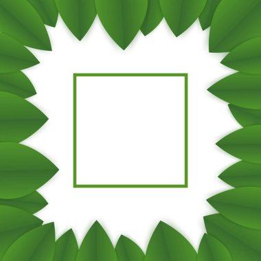 çiçek banner şablon. beyaz zemin üzerine yeşil yaprakları. ilanlarınız için el ilanı. çerçeve yeşil yaprakları yaptı