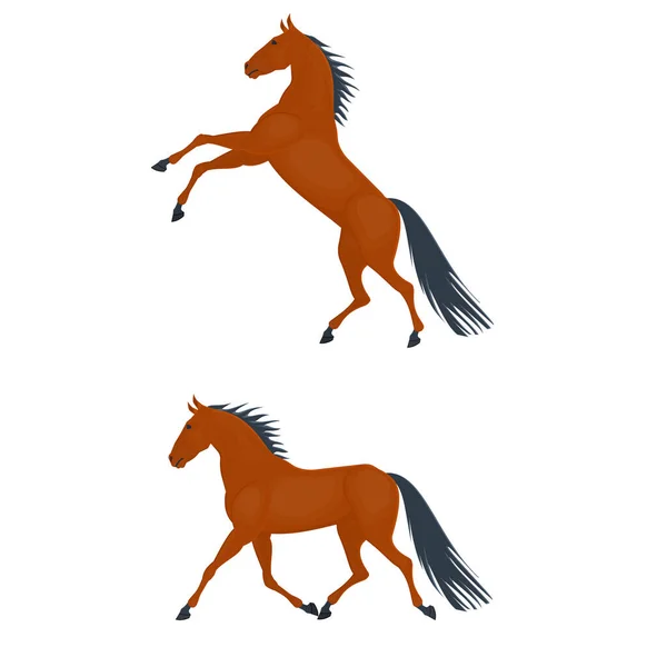 Лошадь Бегущая Лошадь Векторная Иллюстрация — стоковый вектор