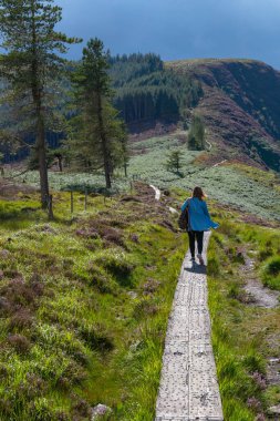 Wicklow Dağları, İrlanda 'daki Glendalough vadisindeki dağın tepesindeki Yukarı Göl patikası. Yaz günü.