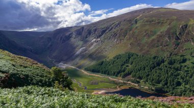 Wicklow Dağları, İrlanda 'daki Glendalough vadisindeki dağın tepesindeki Yukarı Göl patikası. Yaz günü.