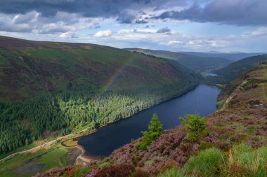 Wicklow Dağları, İrlanda 'daki Glendalough vadisindeki dağın tepesindeki Yukarı Göl patikası. Yaz günü.