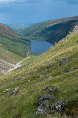 Wicklow Dağları, İrlanda 'daki Glendalough vadisindeki dağın tepesindeki Yukarı Göl patikası. Yaz günü.