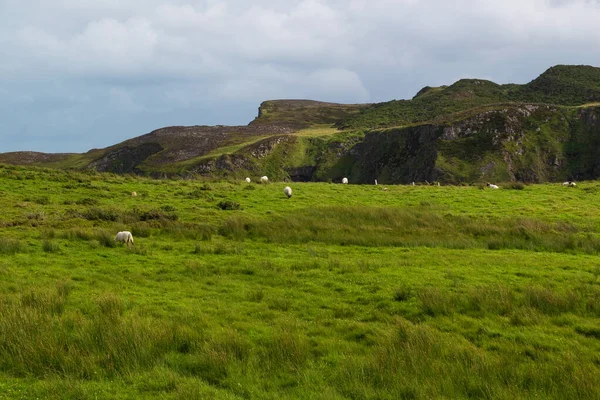 Península Fanad Donegal Costa Oeste Irlanda Camino Costero Del Atlántico — Foto de Stock