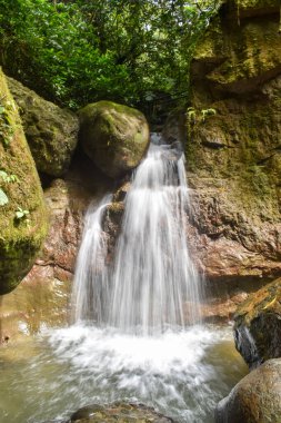 Ormanda kayalarla dolu bir şelale