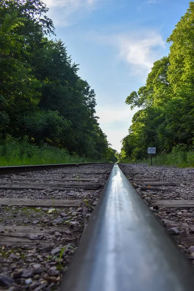 Ormanda tren rayları