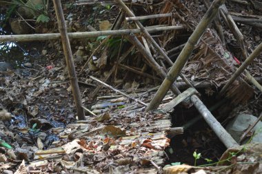 Kırık bambu köprüsü. Bambudan yapılmış köprü.