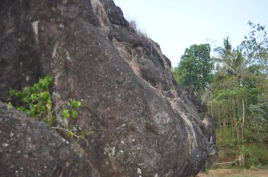 Arka planı bulanık bir kaya tepesi. Büyük Taş