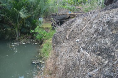 Nehirde taş var. Kayalık kenarlı nehir - Görüntü