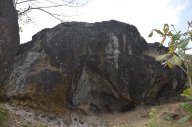 Arka planı bulanık bir kaya tepesi. Büyük Taş
