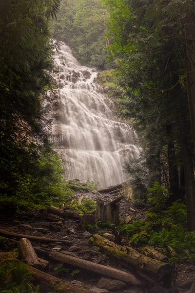Ormanda görkemli bir şelale